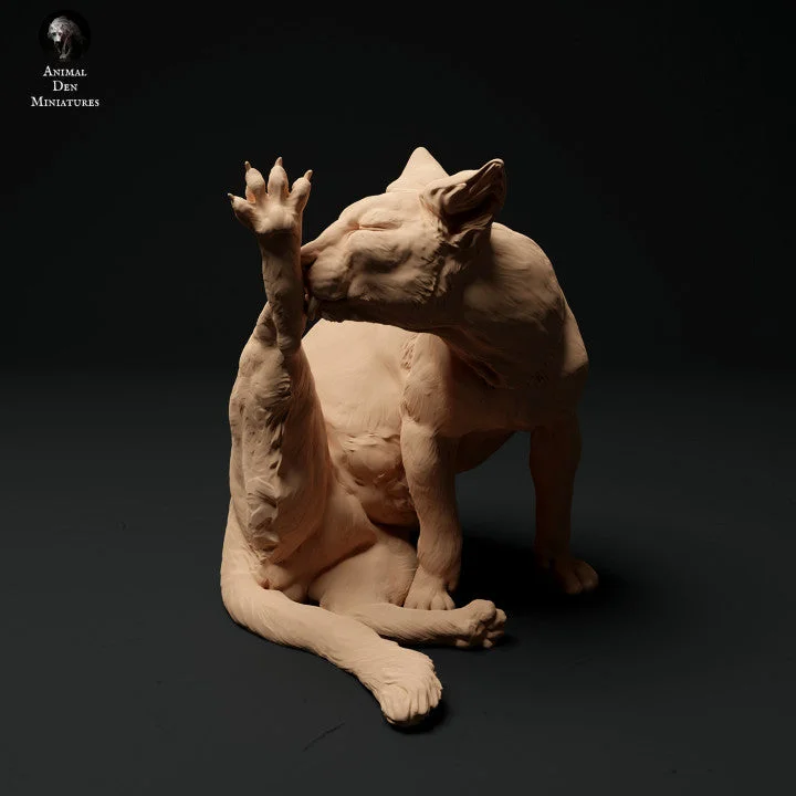 3drifter-miniaturas299302