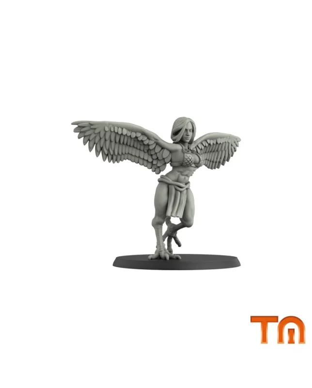 terrainandminis20261015235018476547